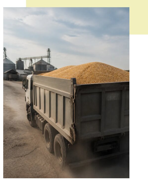 Перевозка сельхозпродукции навалом в Егорьевск по цене от 3038 р. | Агросервис-Грь